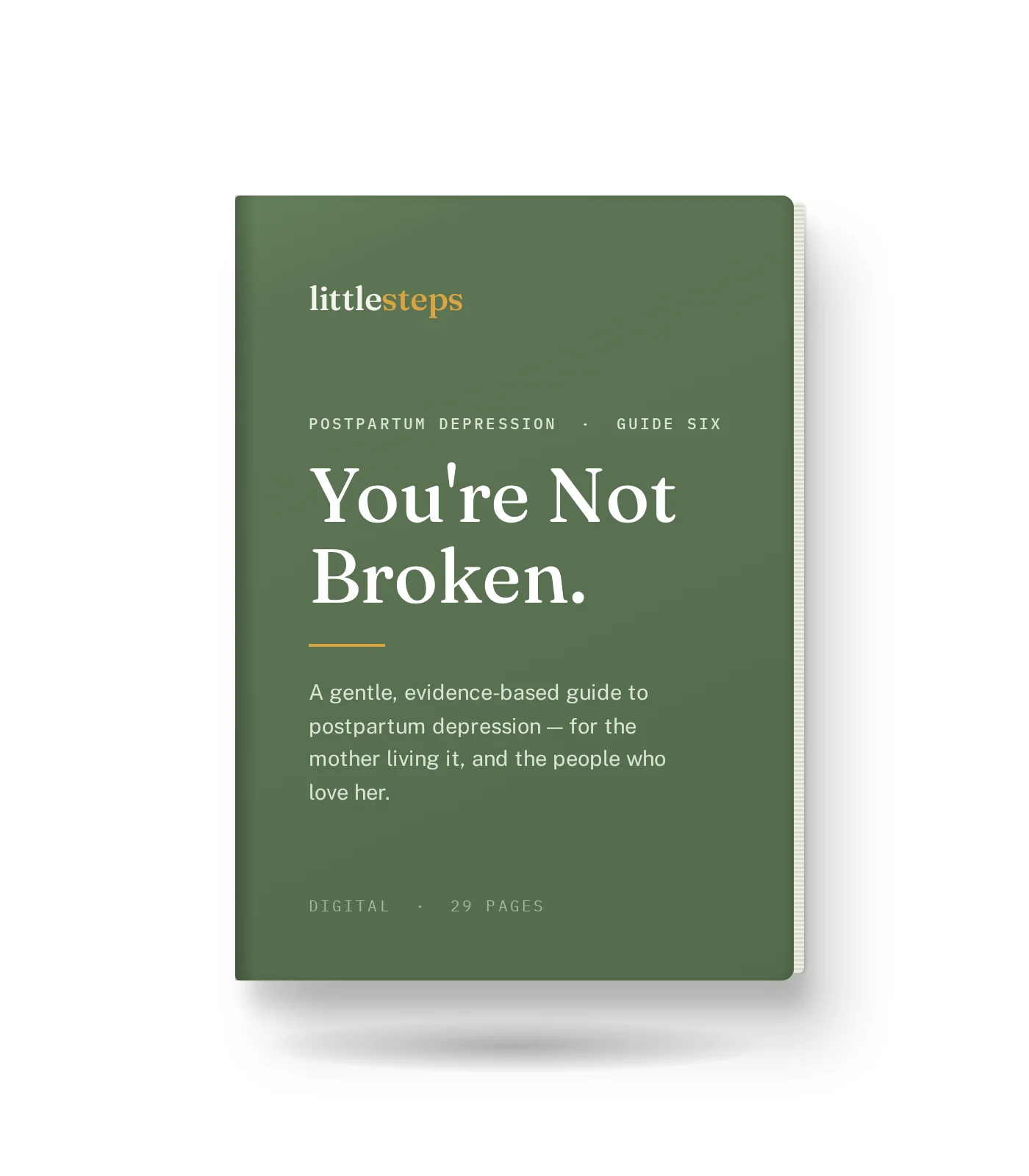 You're Not Broken - A gentle, evidence-based guide to postpartum depression for the mother living it, and for the people who love her. — view 2