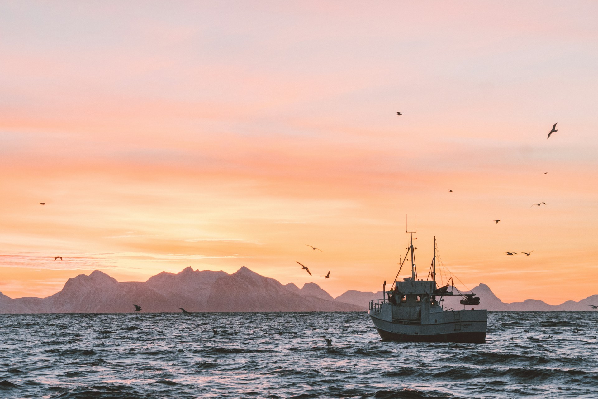 Moonbite Solunar Fishing Forecast