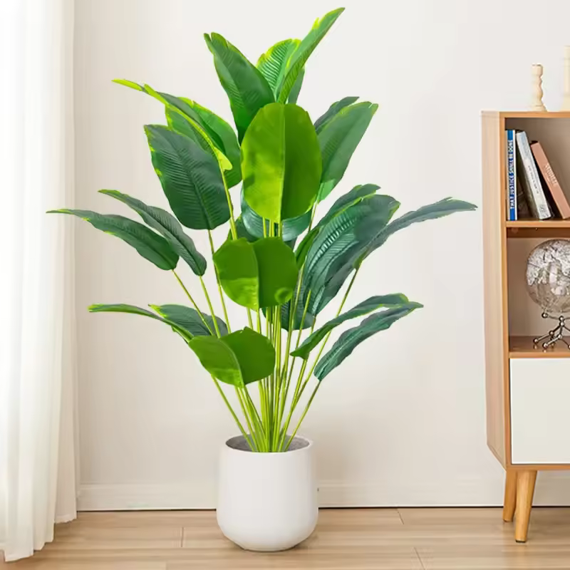 The Monstera Palm