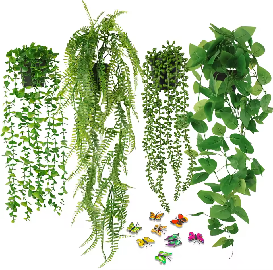 The Boston Fern String