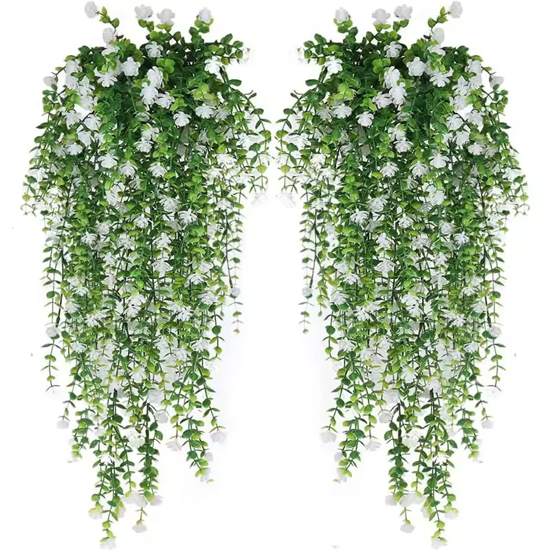 The Eucalyptus Vine Bundle