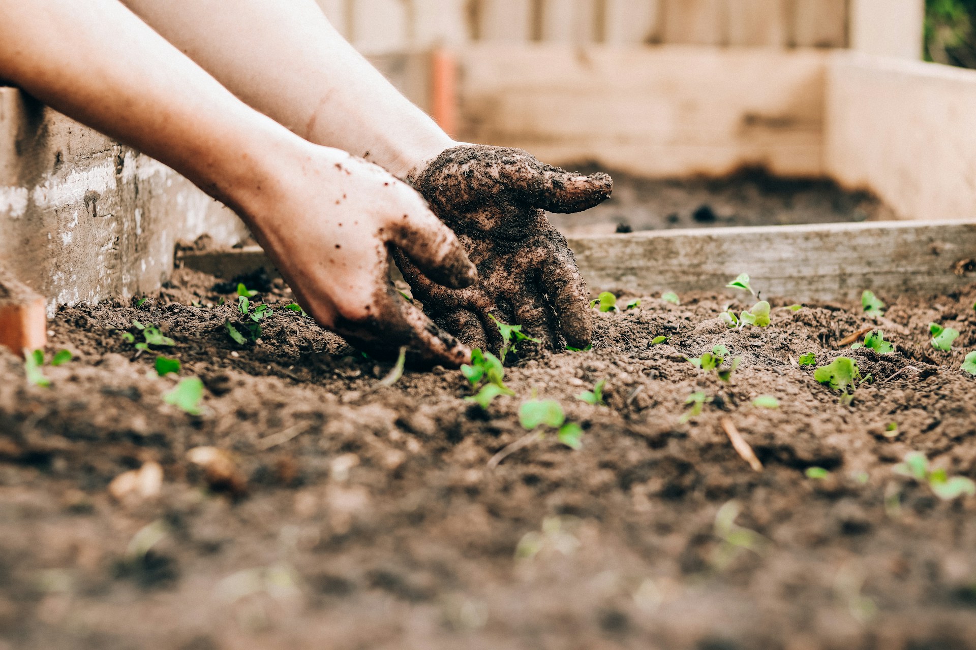 Curso de Jardinería