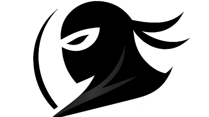 6 Monate Ninja Coaching