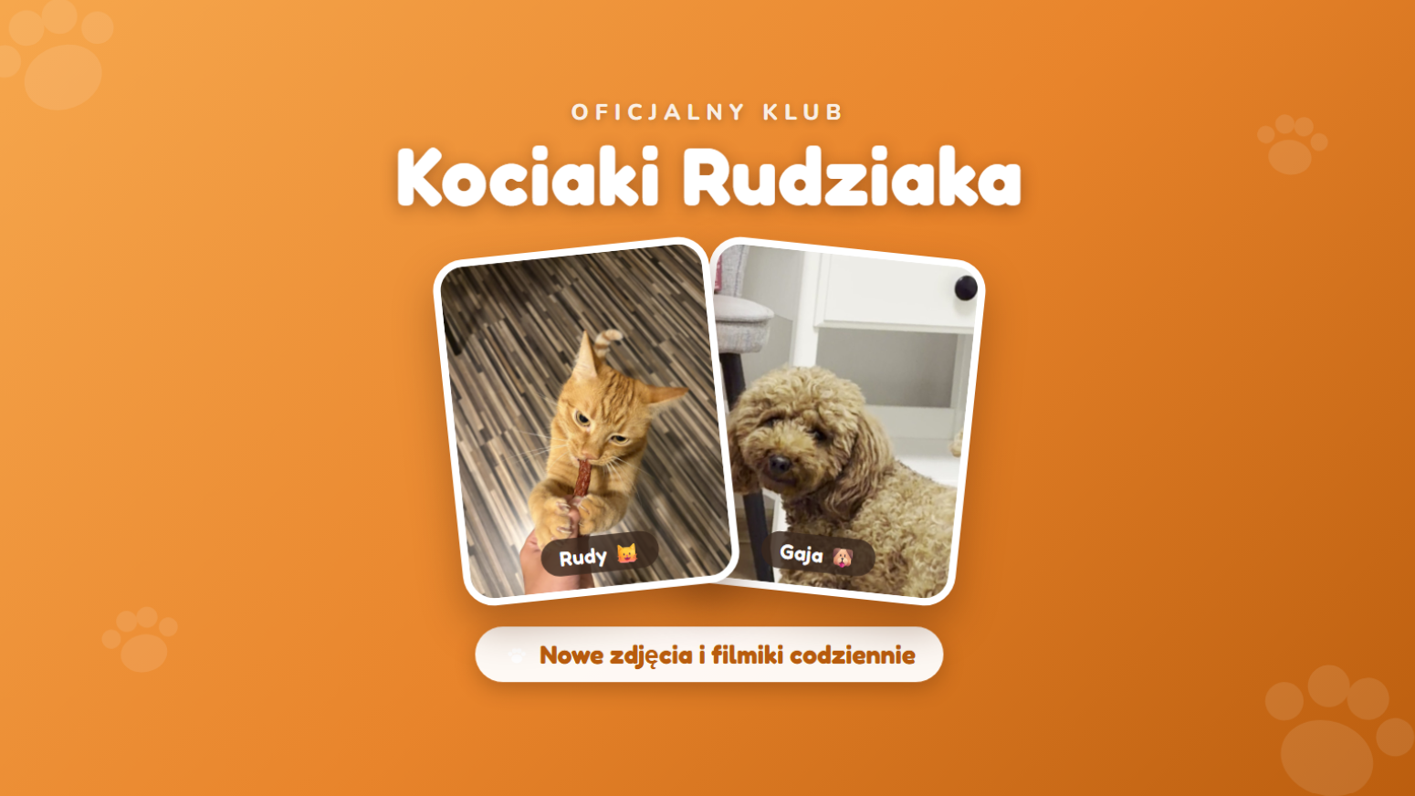 Kociaki Rudziaka