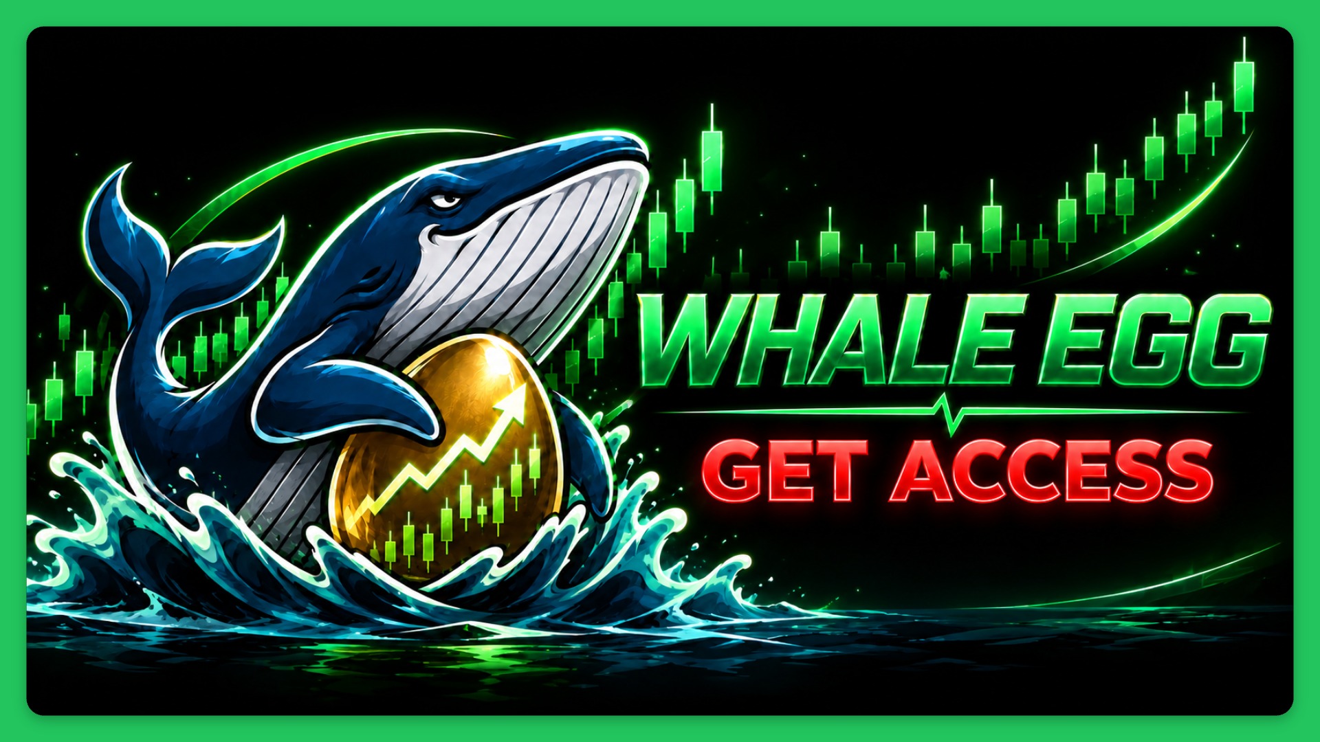Whale Access