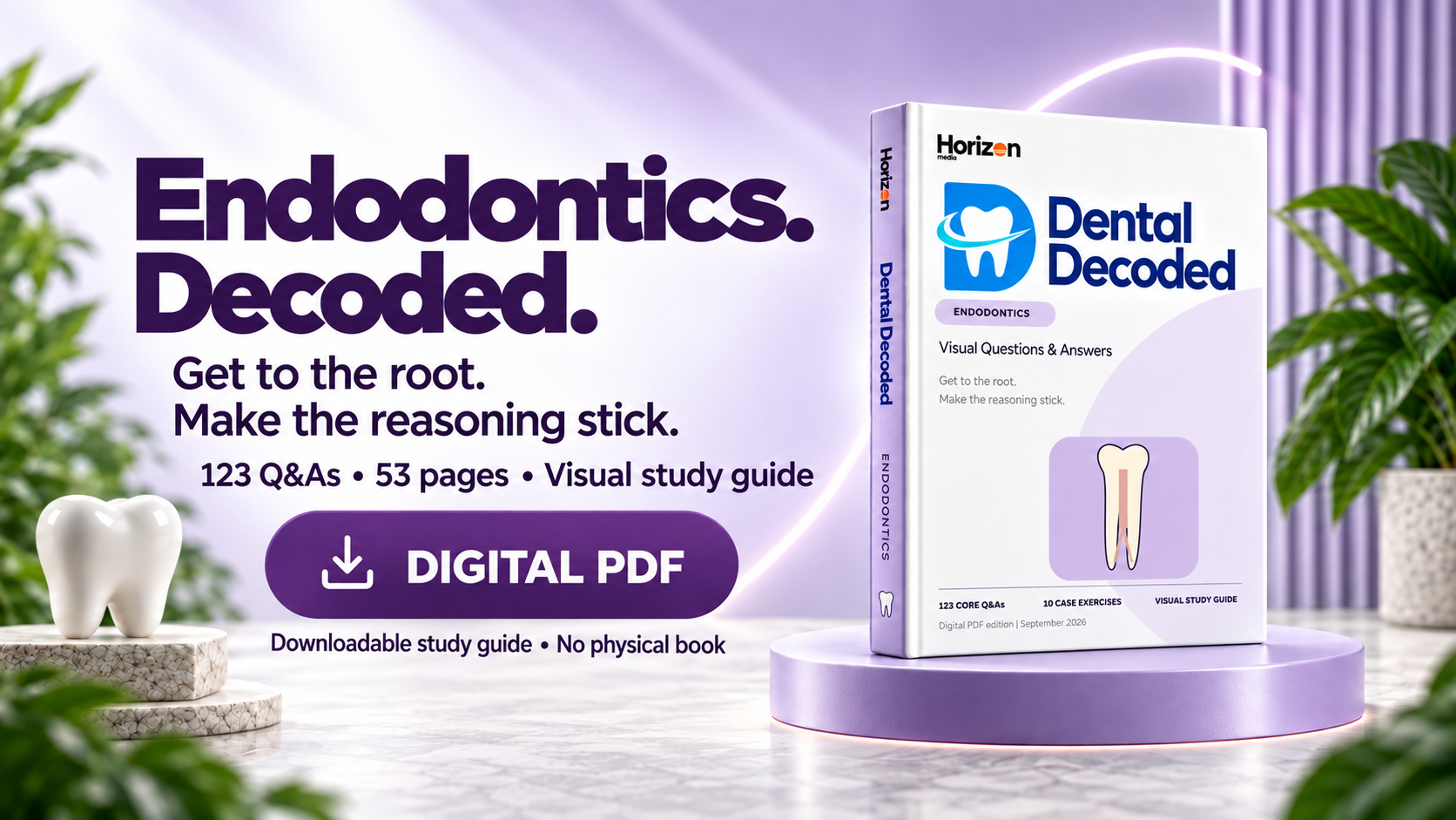 Dental Decoded: Endodontics