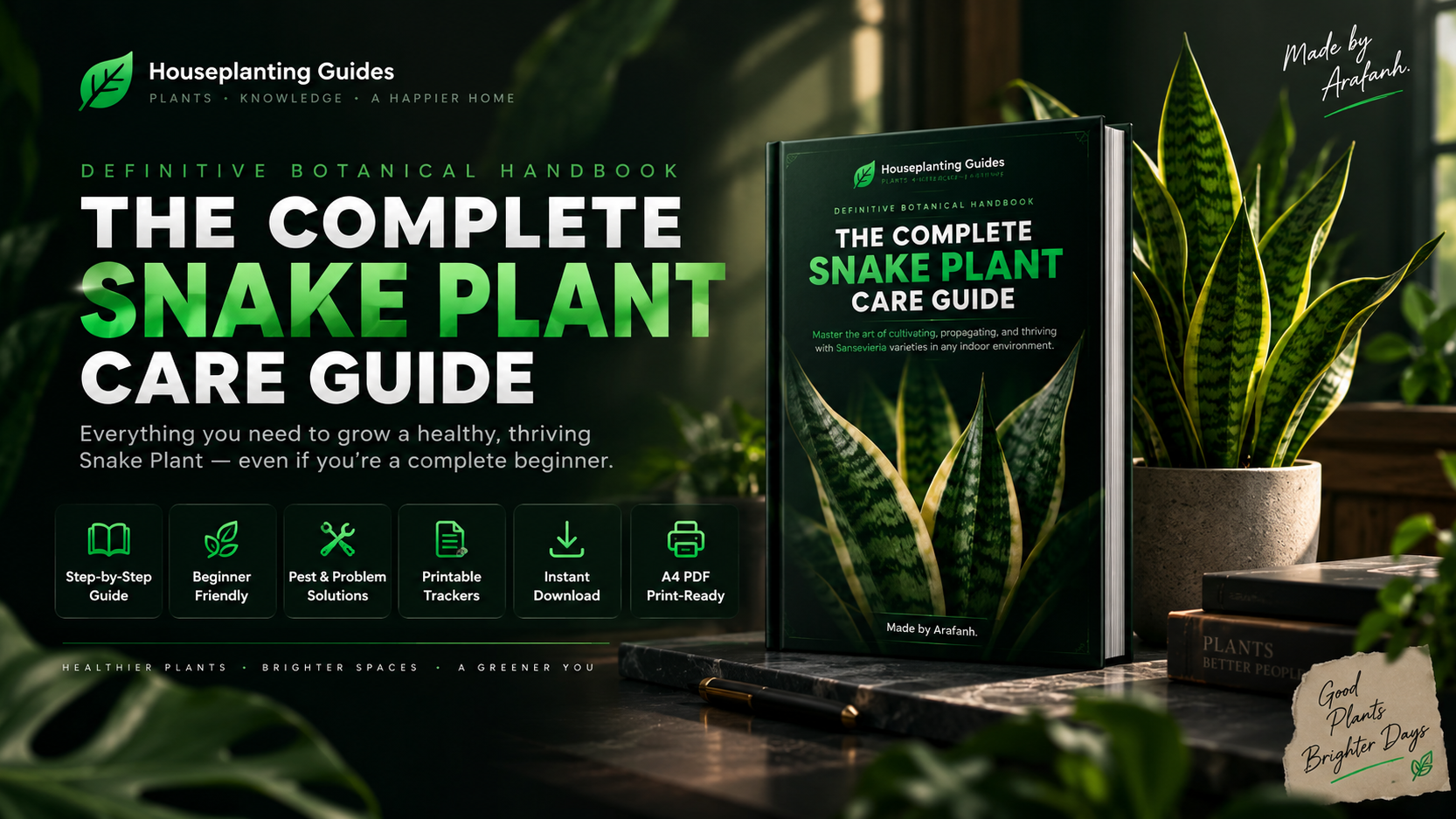 The Complete Snake Plant Care Guide