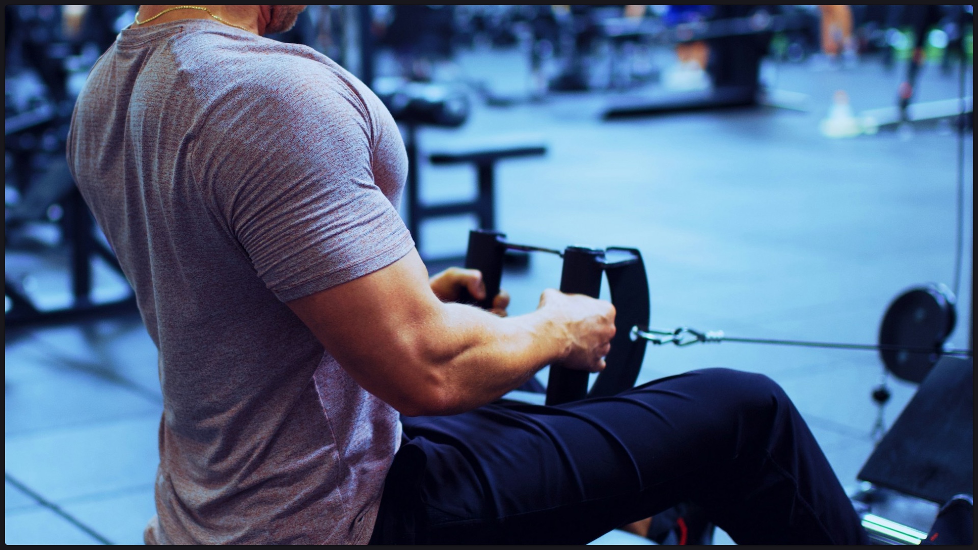 Fitness Phases Pro