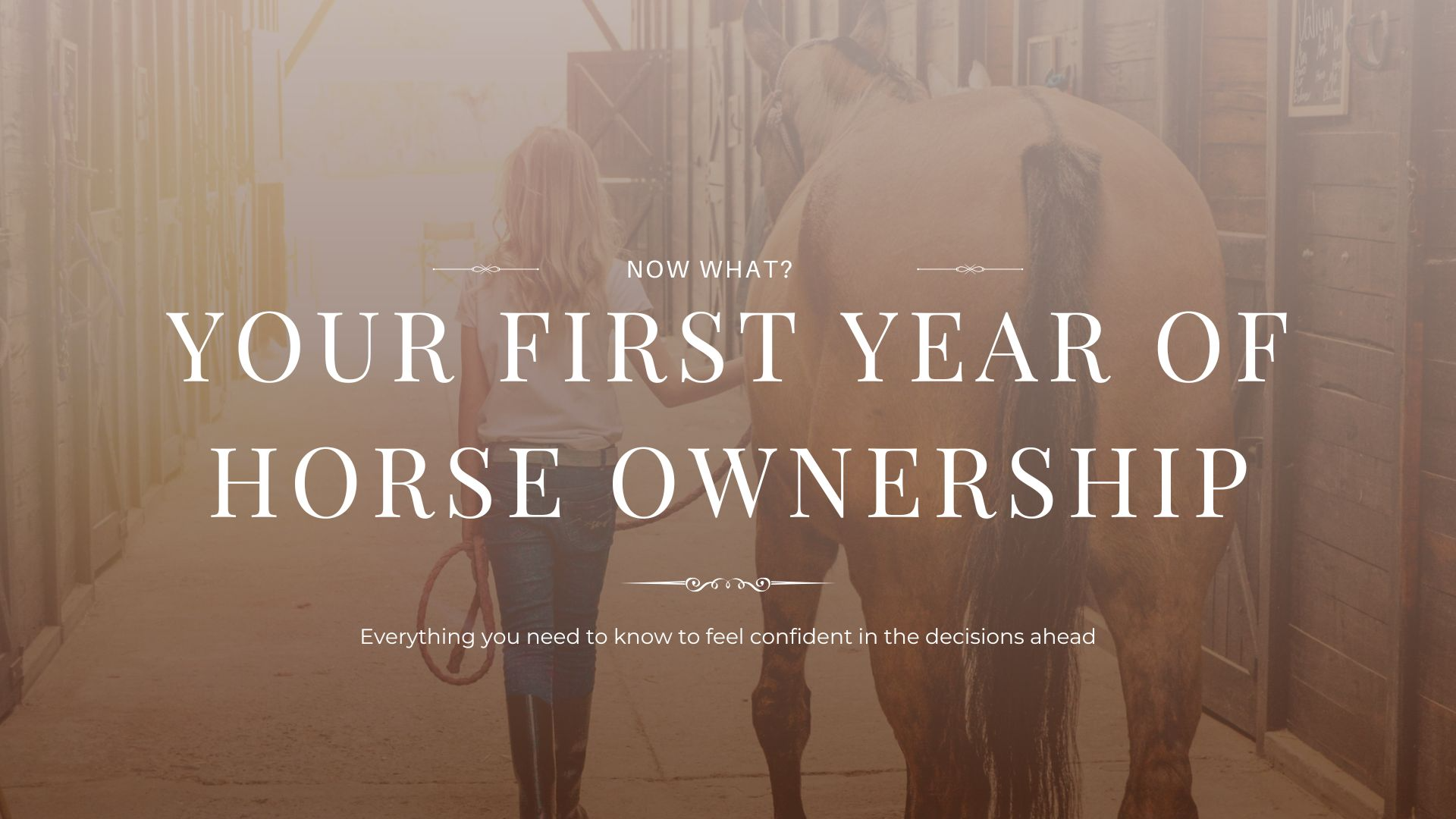 Survival Guide: Your First Year Of Horse Ownership