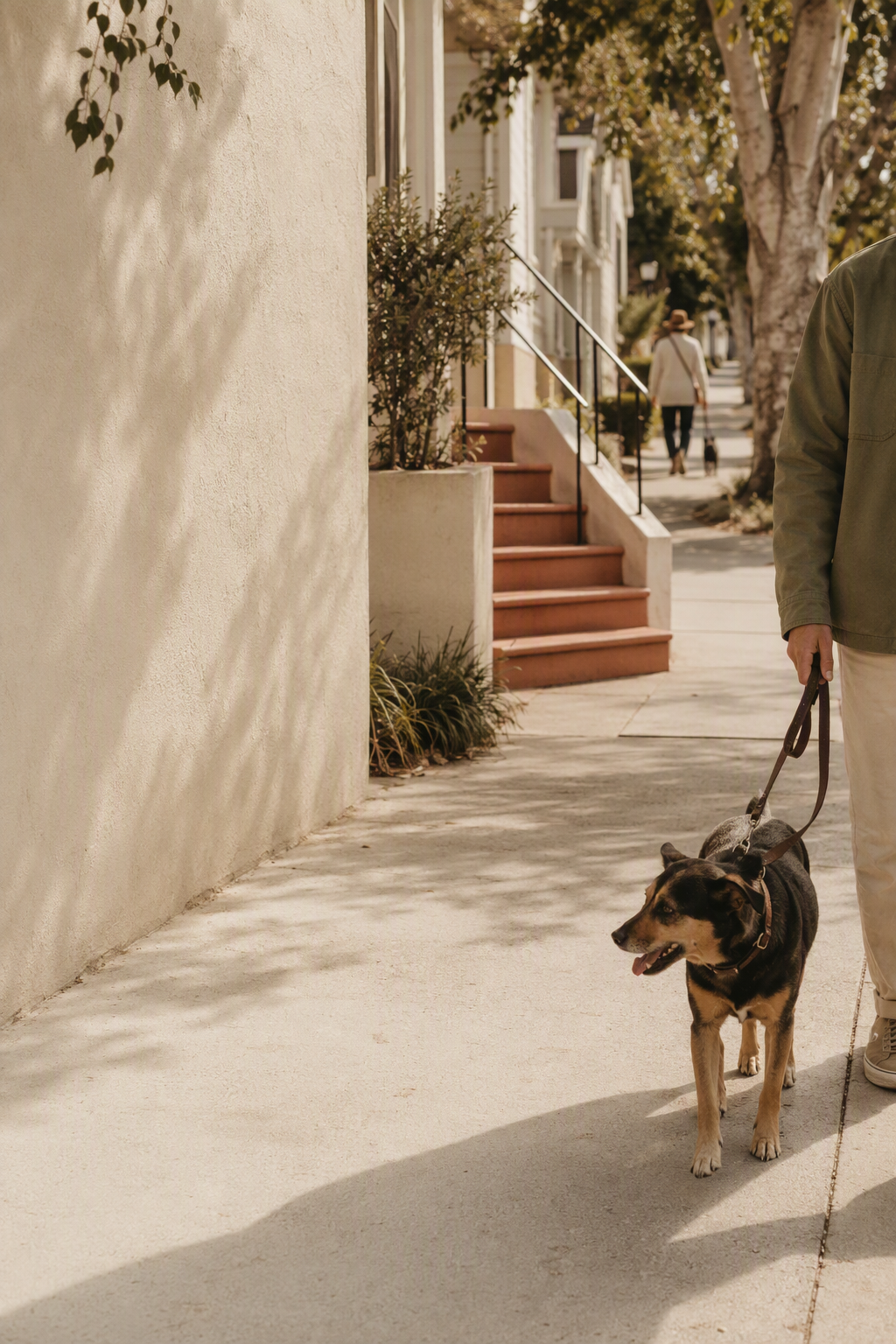 Build Local Friendships Through Dog Walks Without Chasing Invitations
