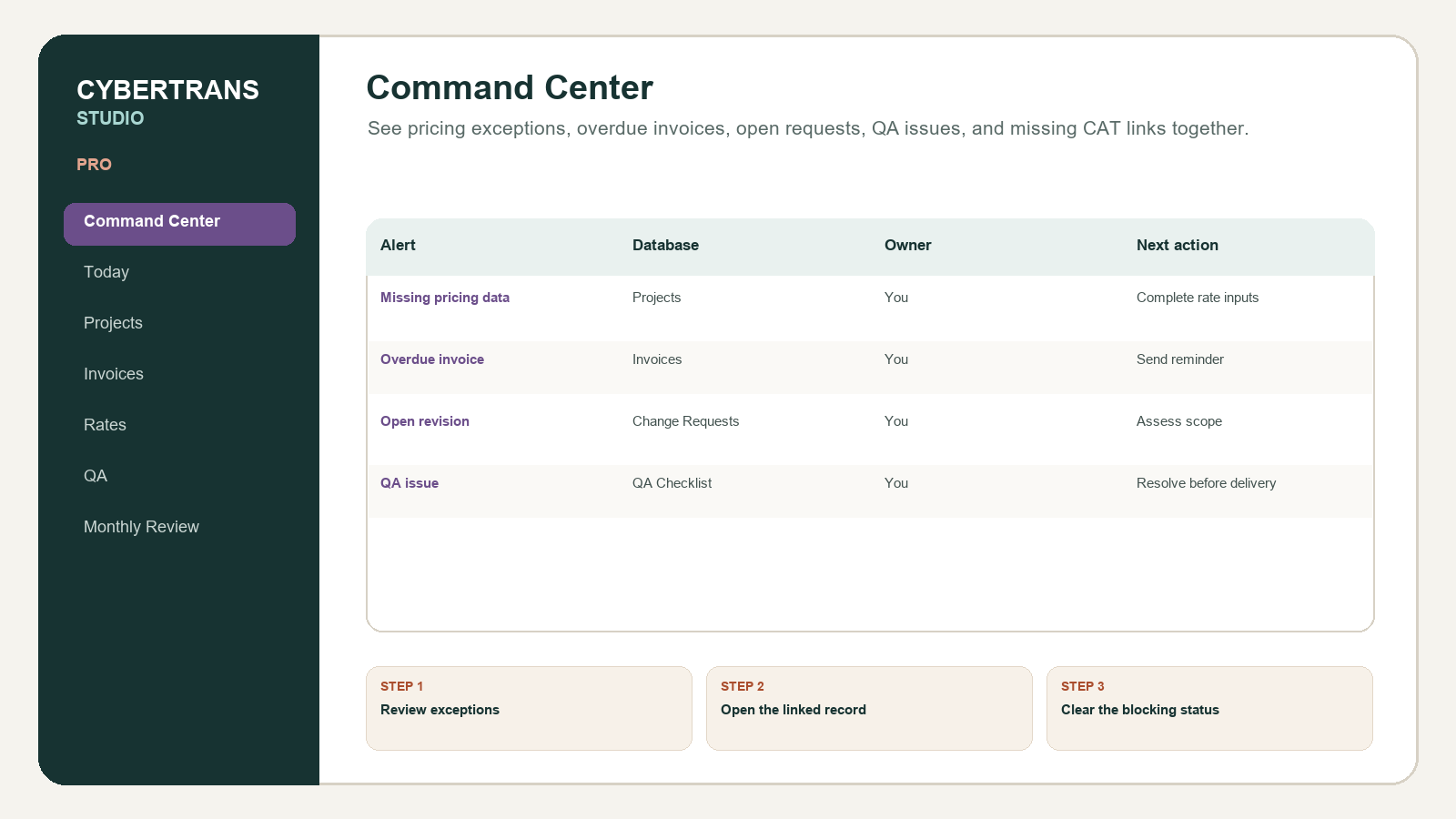 Cybertrans Studio Translation Workspace — Pro