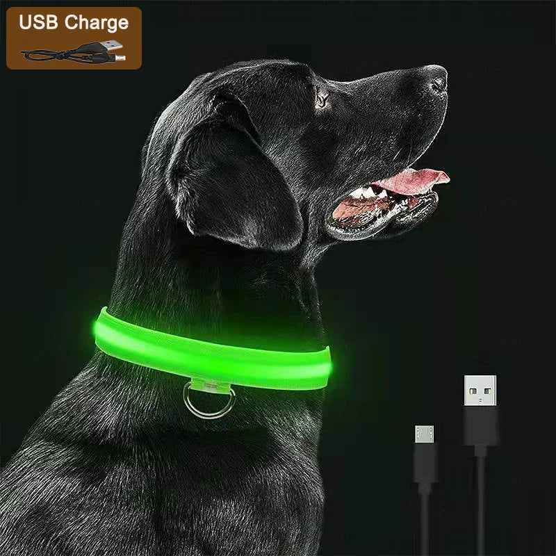 Light Up Dog Collar