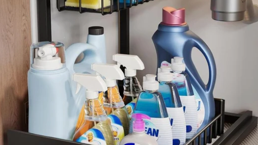 2-Tier Pull Out Organizer 