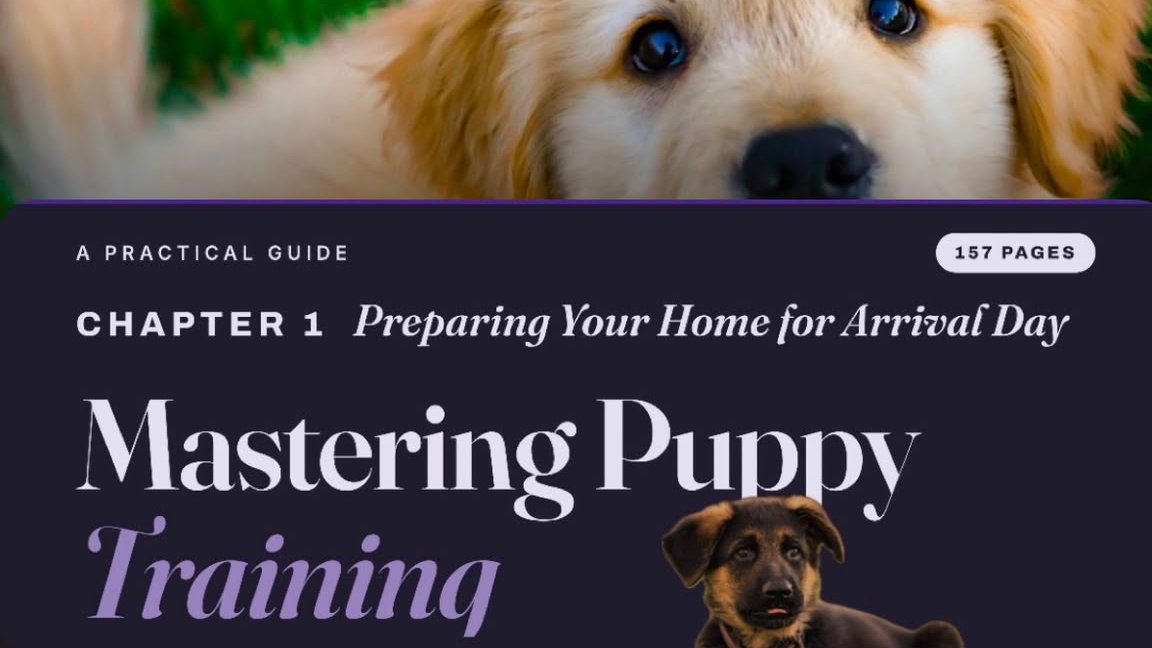 Mastering Puppy Training Ebook