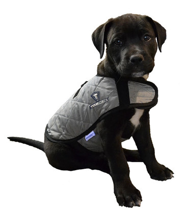 HyperKewl Evaporative Cooling Dog Vest