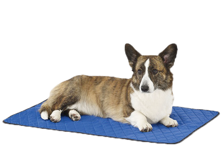HyperKewl Evaporative Cooling Dog Blanket