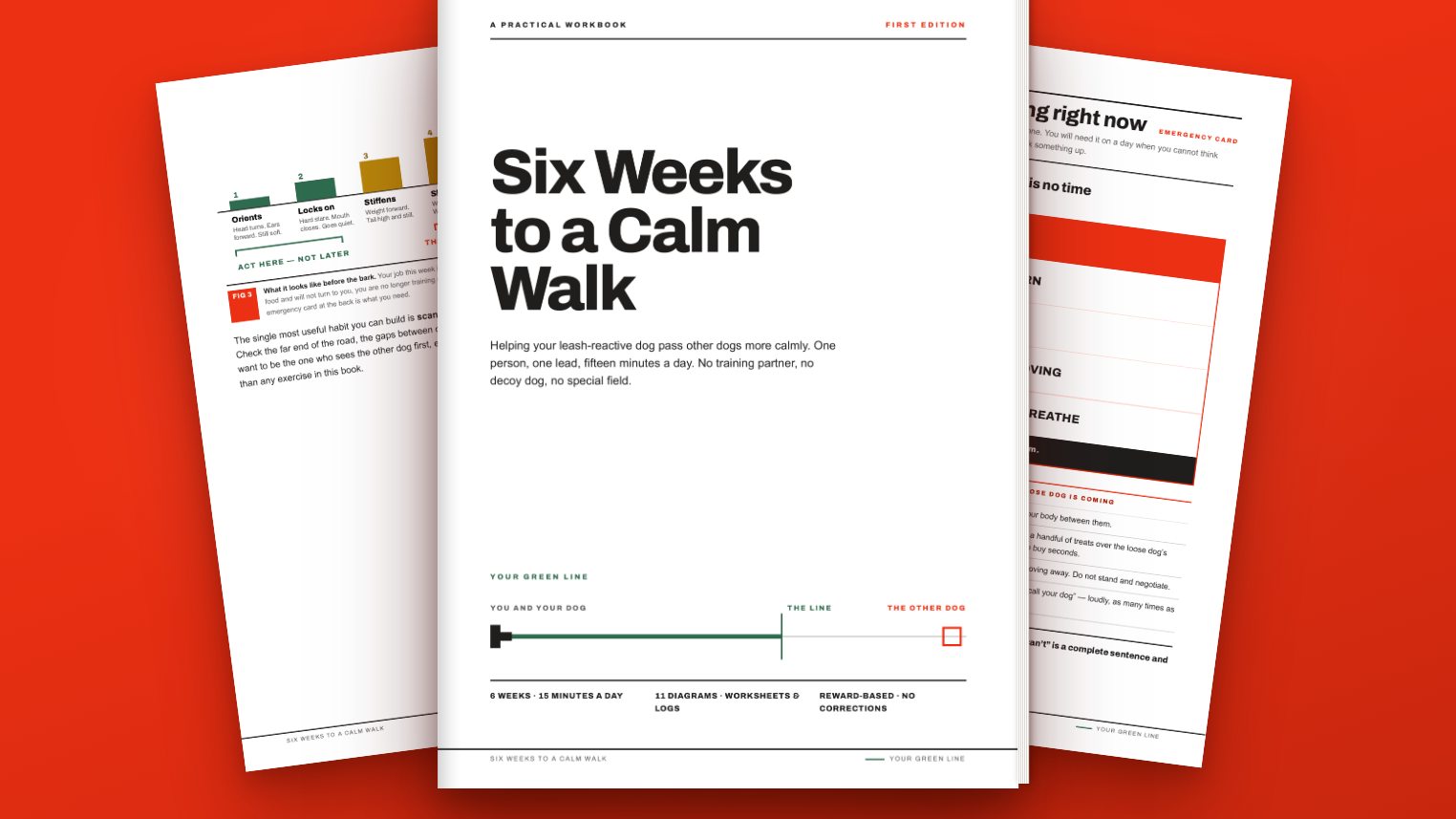 Six Weeks to a Calm Walk