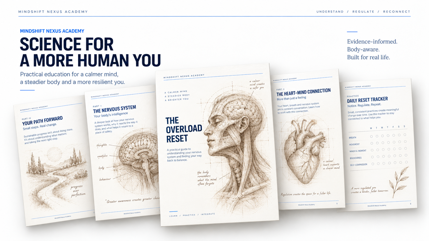 The Overload Reset — Free Guide + Video