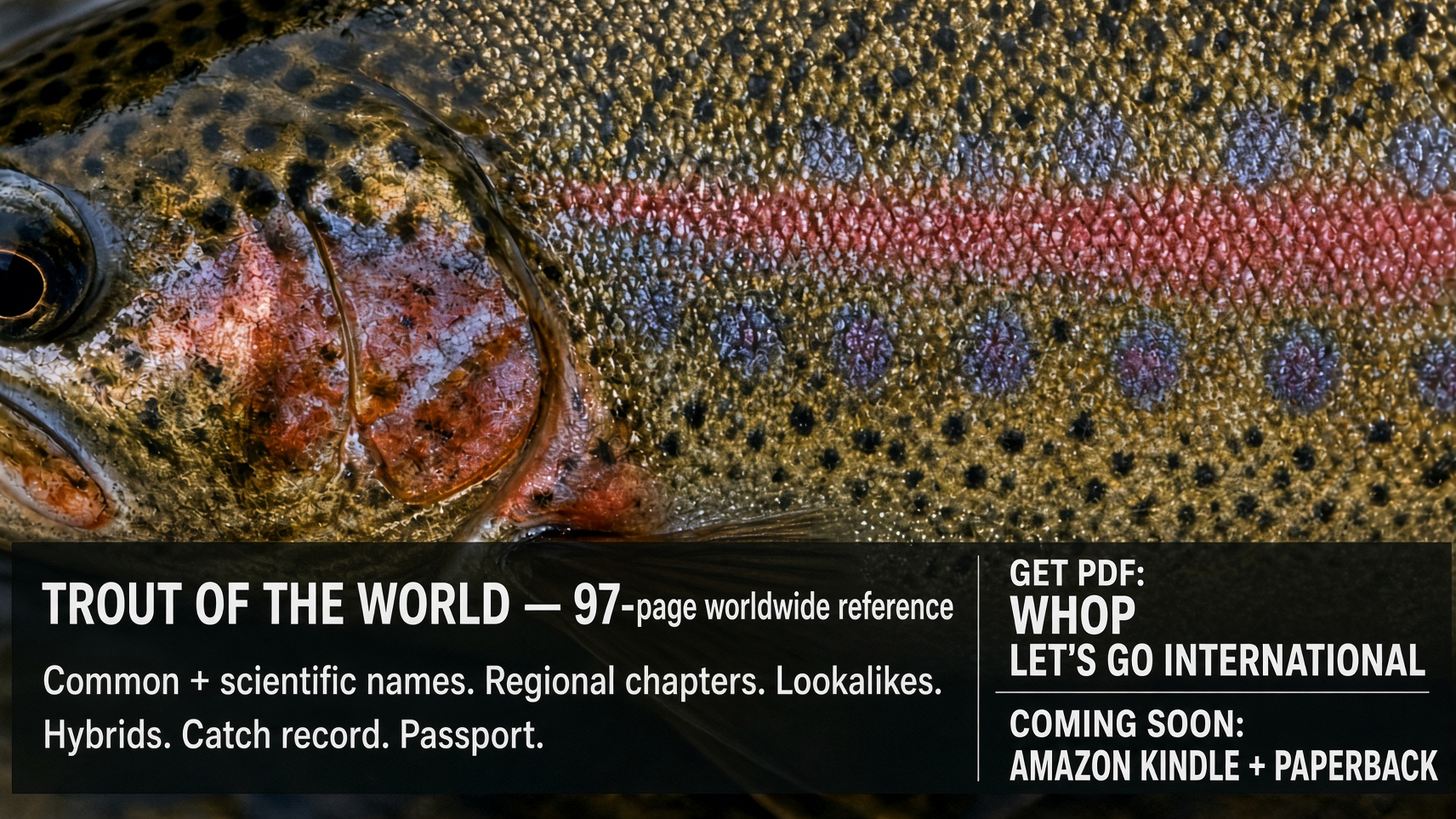 Trout of the World