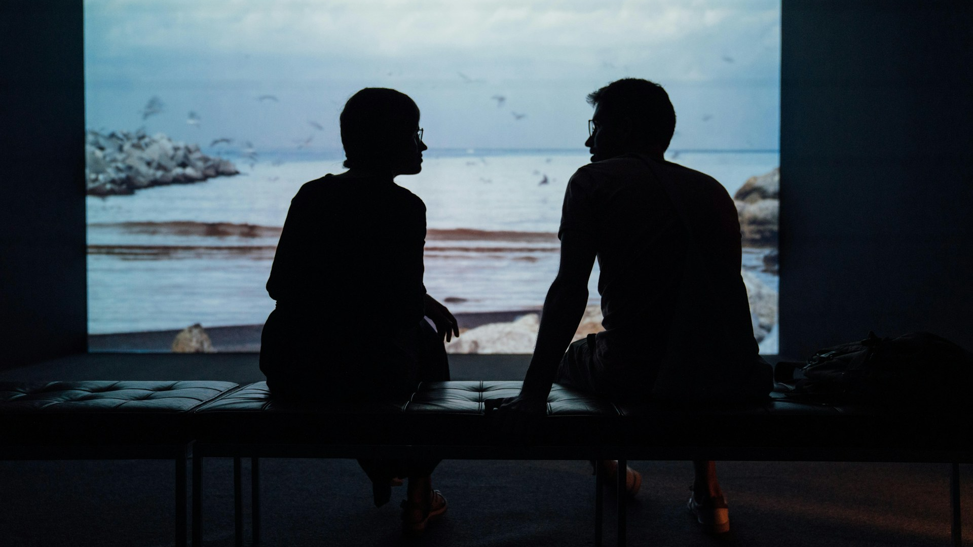 Partners Clarifying Texts without Arguing over Meaning