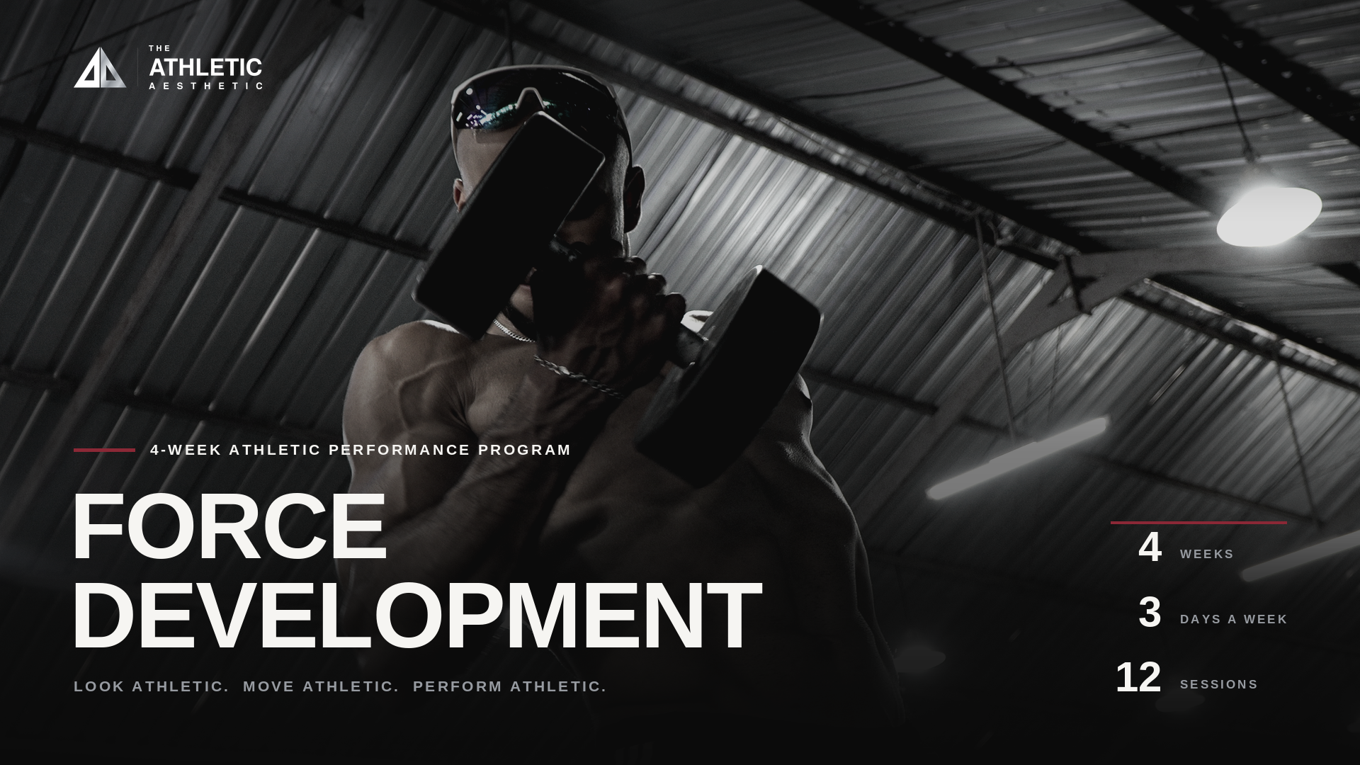 ATHLETIC AESTHETIC - FORCE DEVELOPMENT PROGRAM