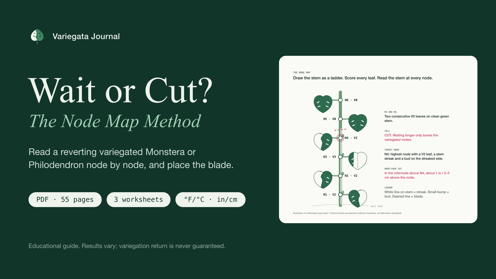 Wait or Cut? The Node Map Method
