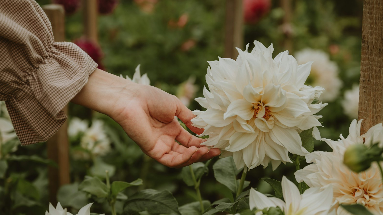 Garden Scraps to Home Decor: 5 Upcycling Projects