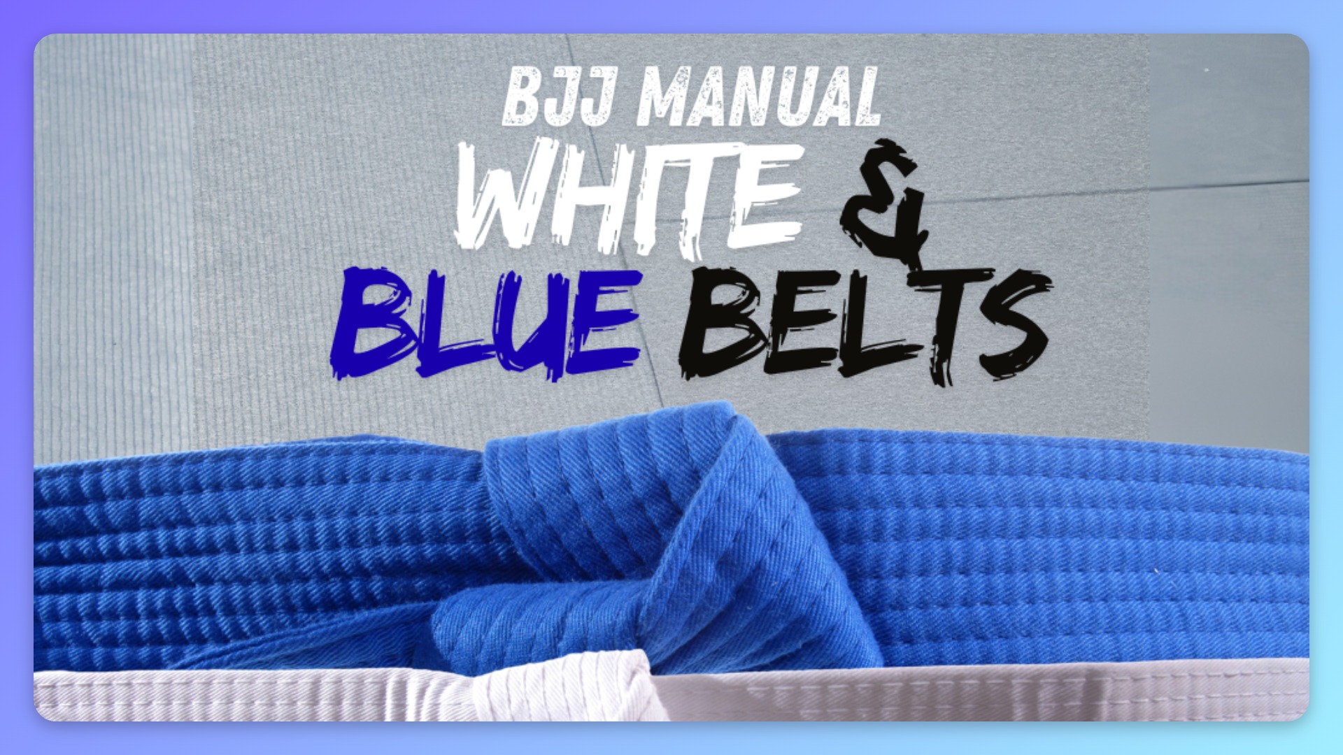 BJJ Manual for Plateauing White & Blue Belts