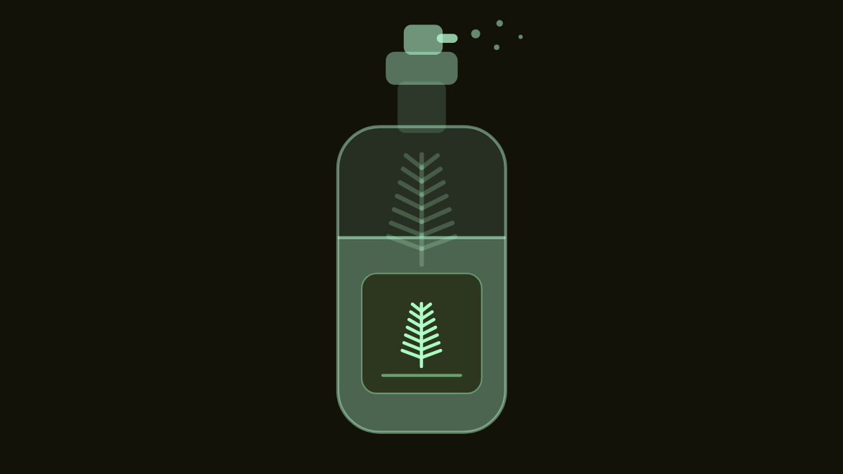 Pine — The Forest Round