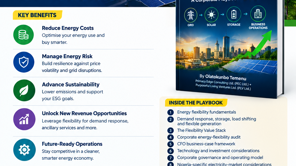 Energy Flexibility Profit Playbook