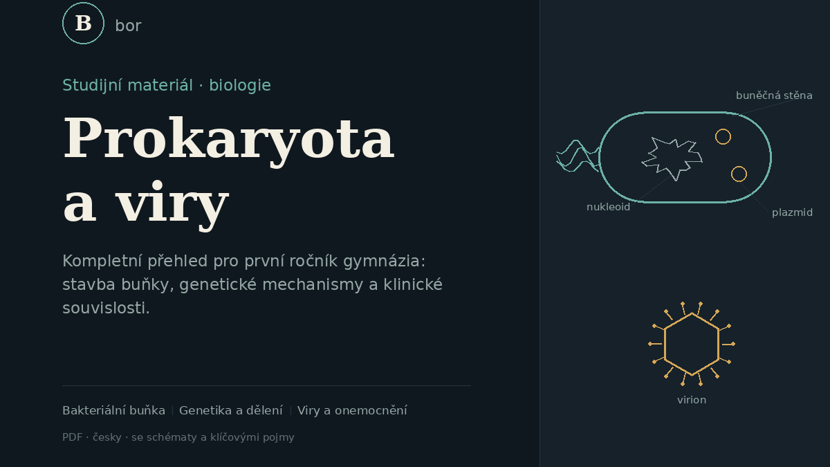 BOR - Prokaryota a viry 