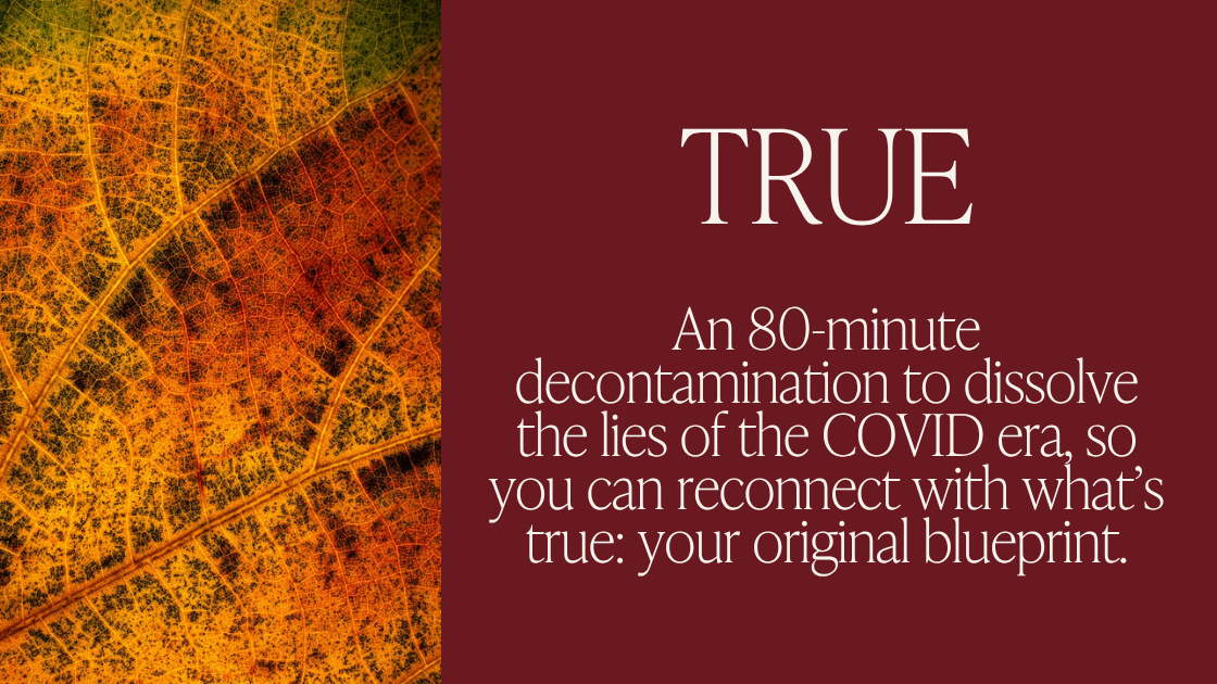 TRUE Group Decontam Workshop