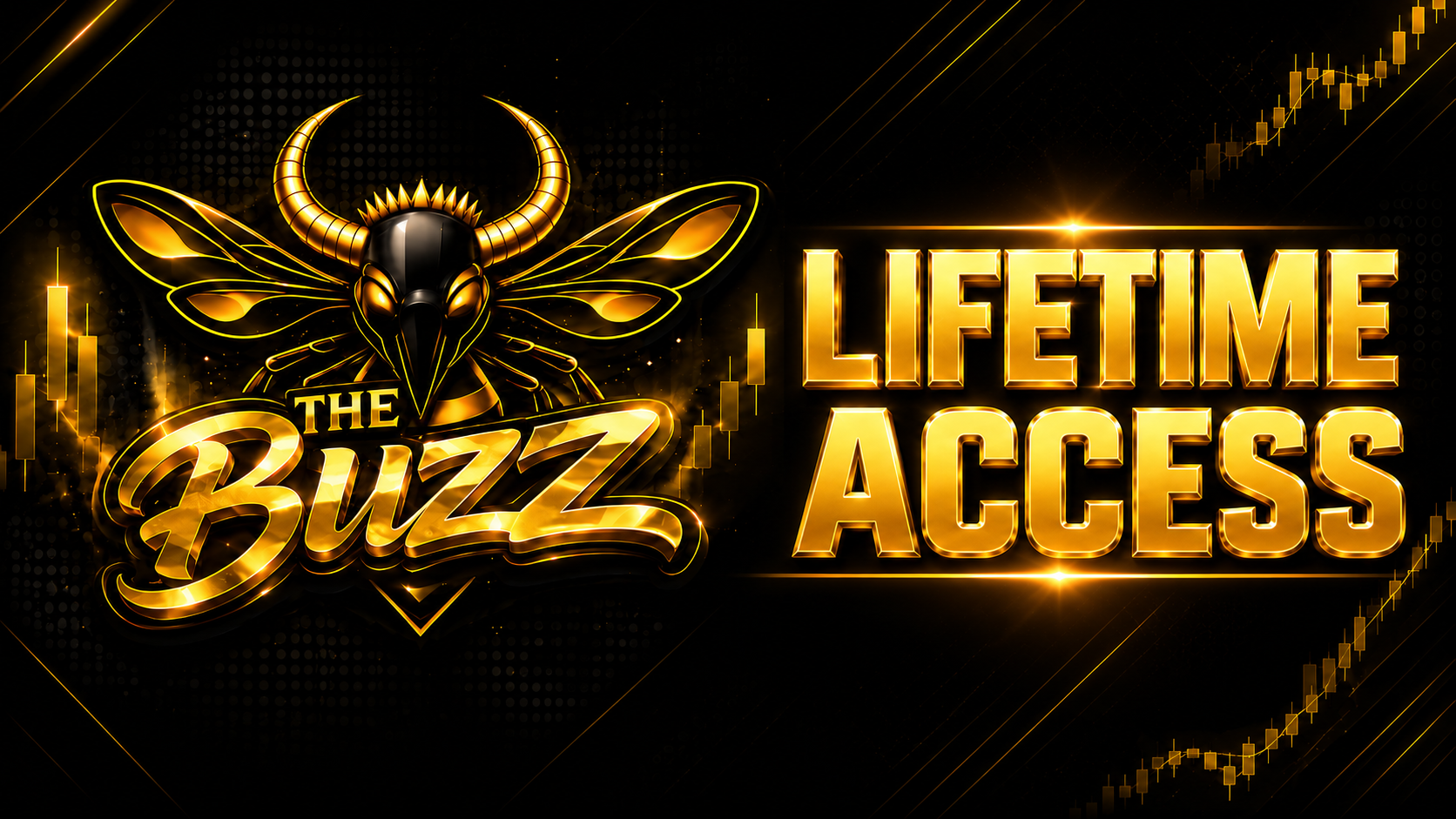 Lifetime Premium Access