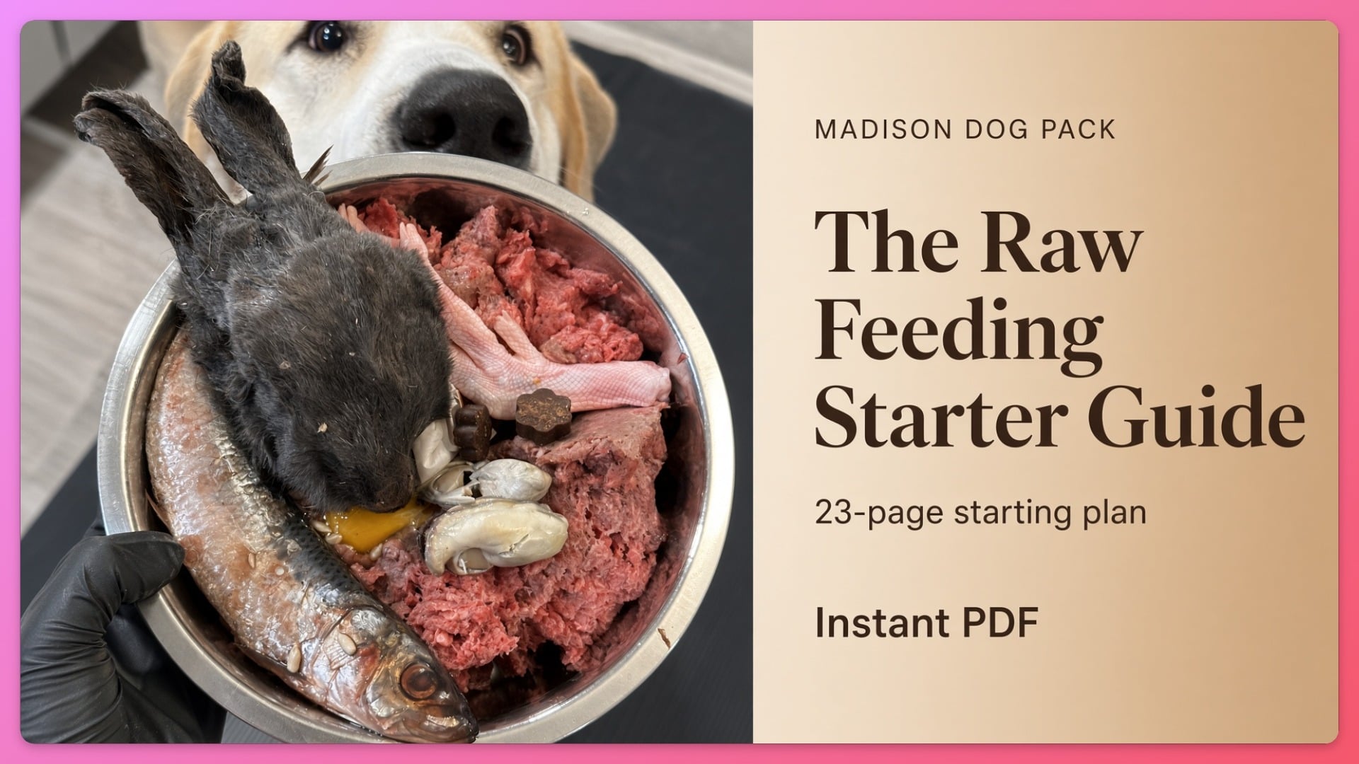 The Raw Feeding Starter Guide