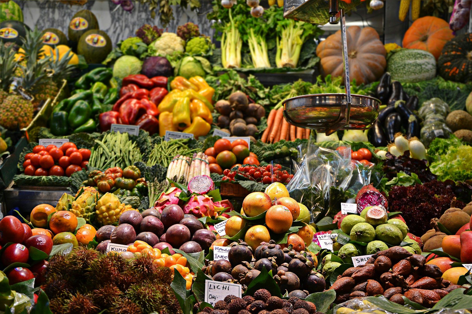 Infinite Food Source