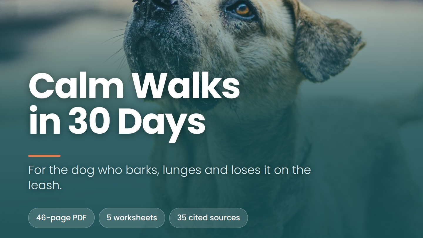 Calm Walks in 30 Days