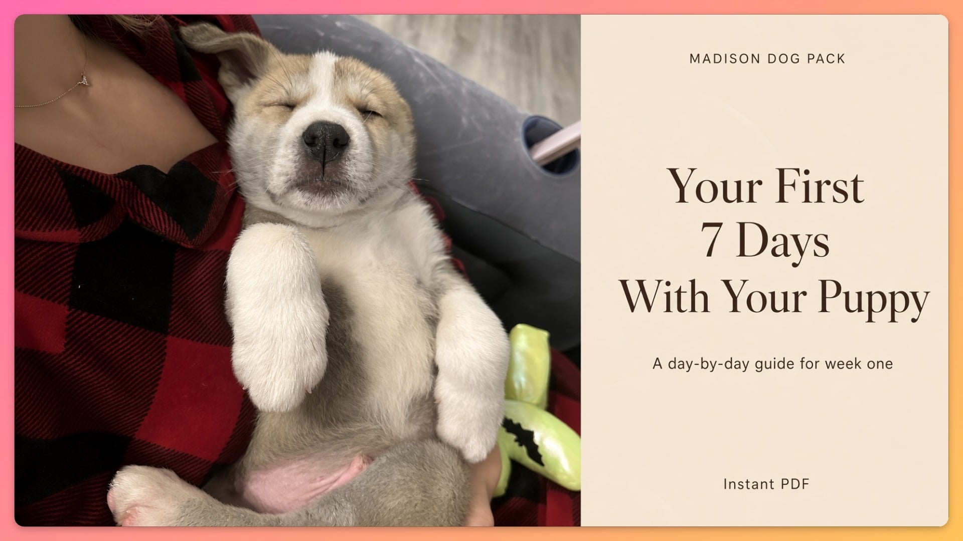 First 7 Days With Your Puppy