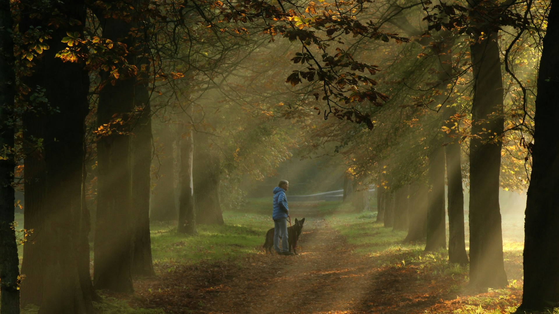 The Walking Pad Workday: 4-Week Plan for Desk Workers