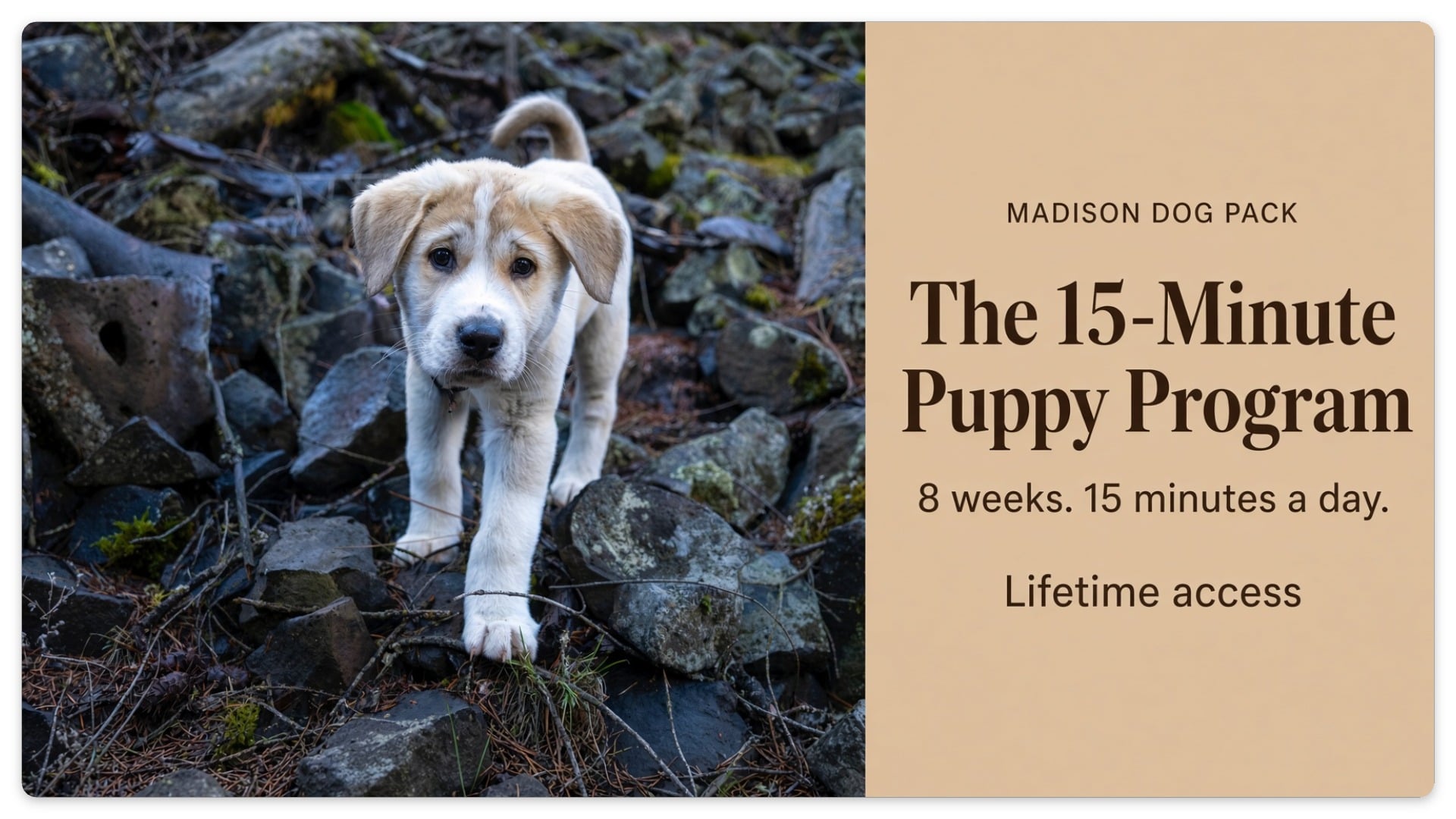 The 15-Minute Puppy Program