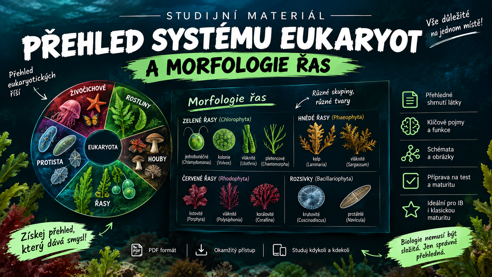 Přehled systému eukaryot a morfologie řas