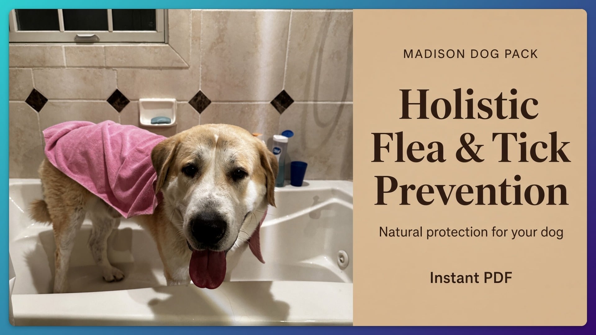 Holistic Flea & Tick Prevention Guide