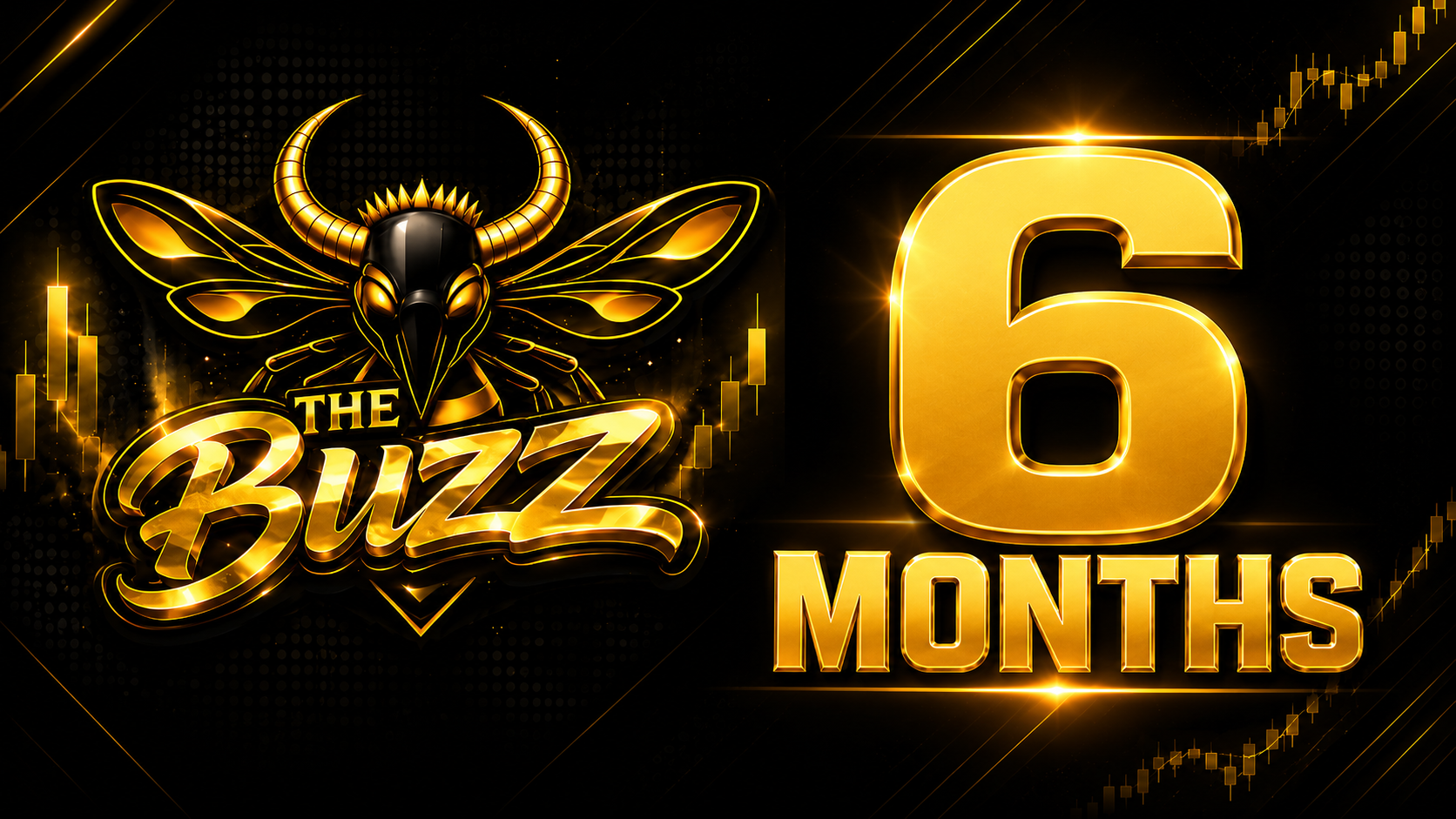 6 Month Premium Access