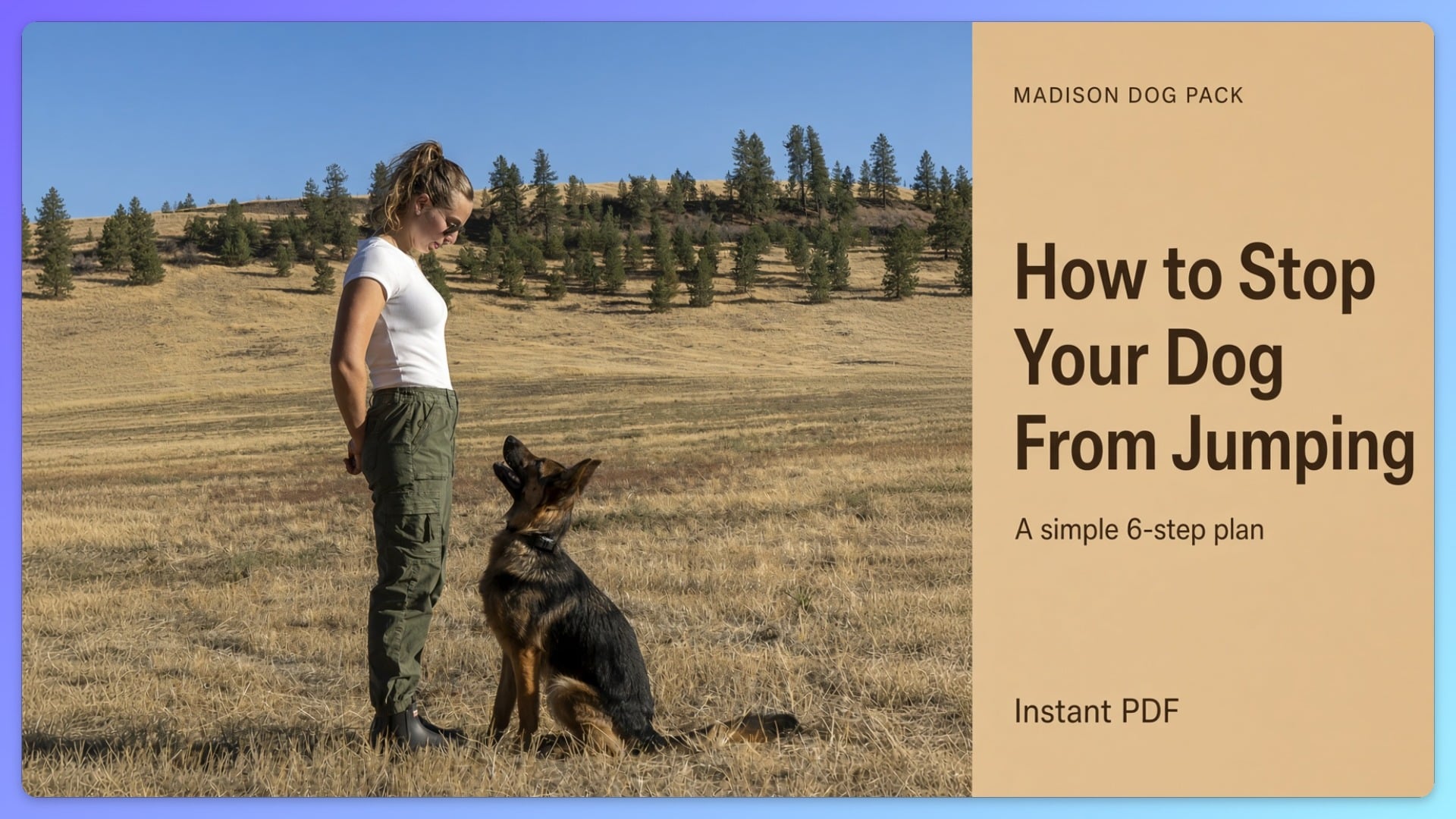 How to Stop Your Dog From Jumping