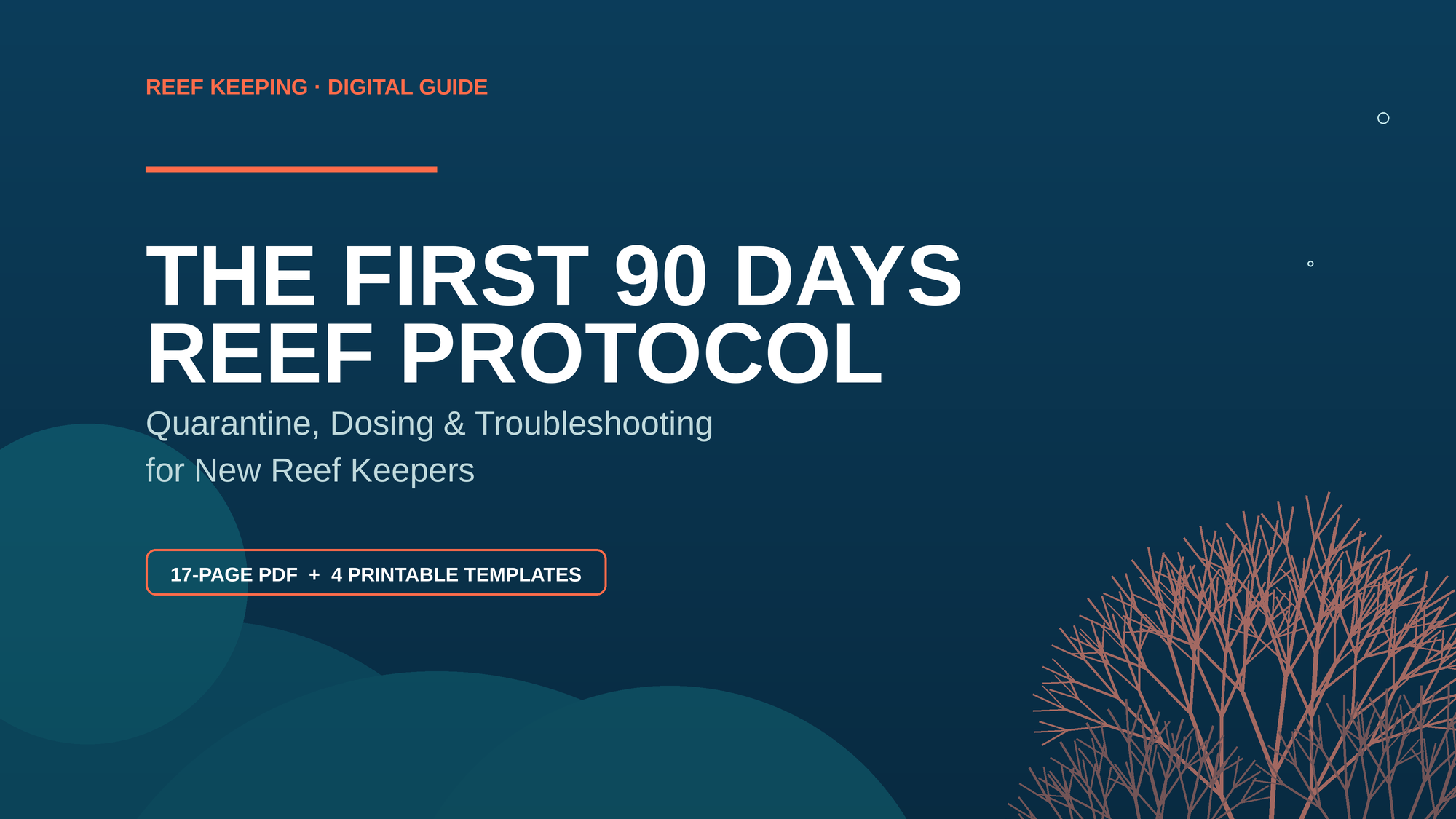 The First 90 Days Reef Protocol: Complete SOP & Digital Toolkit