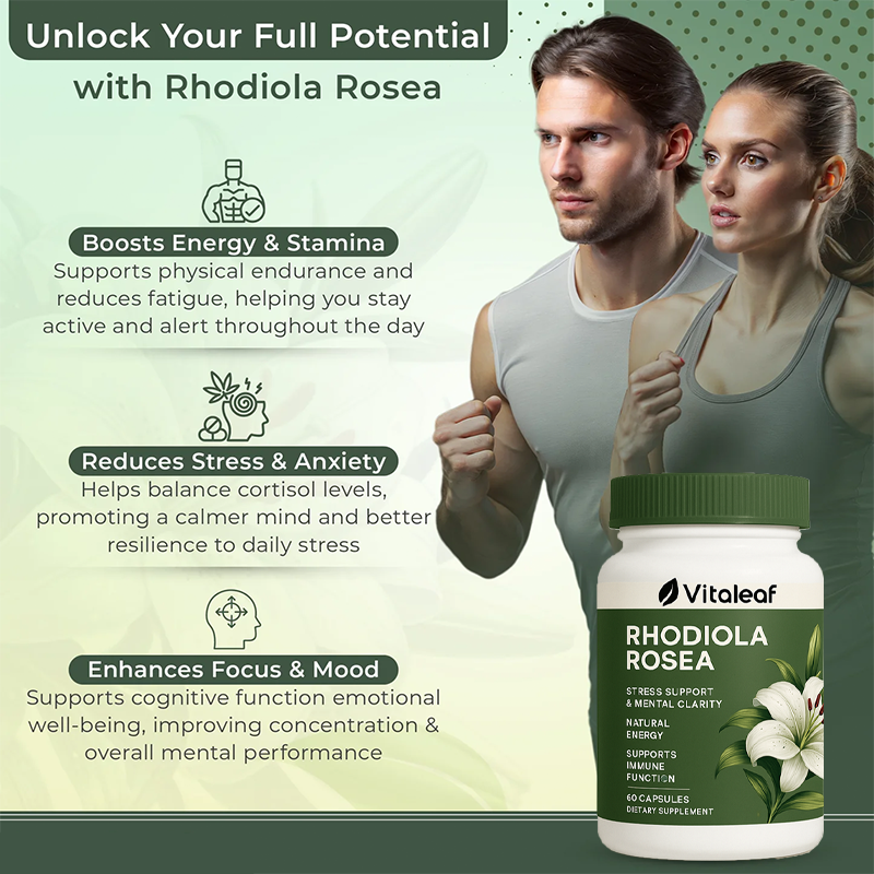 Rhodiola Rosea Capsules