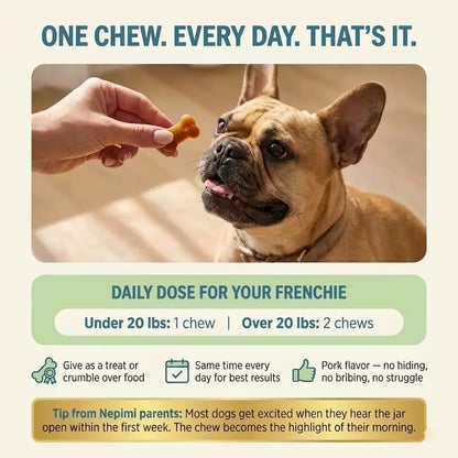 French Bulldog Longevity Chews