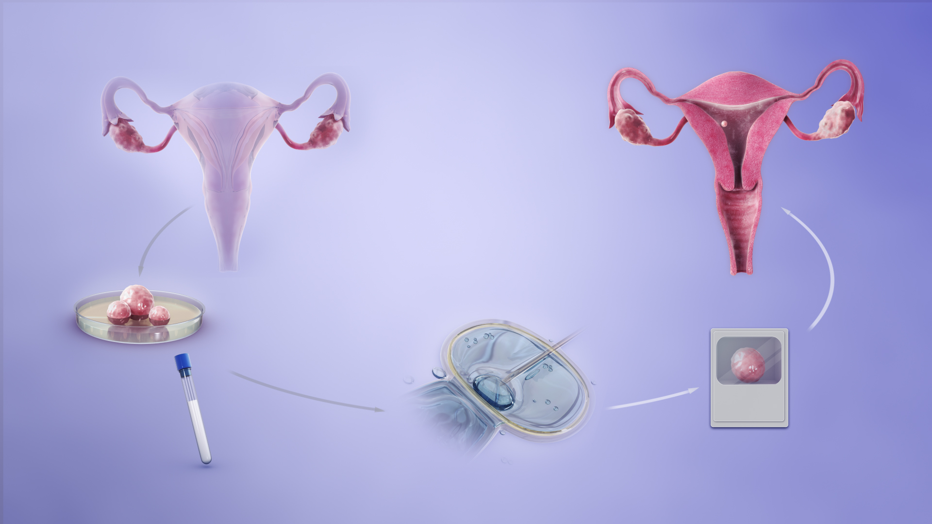 FIV na prática: Introdução ao Laboratório de Reprodução Humana