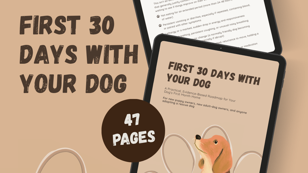 First 30 Days With Your Dog Ebook