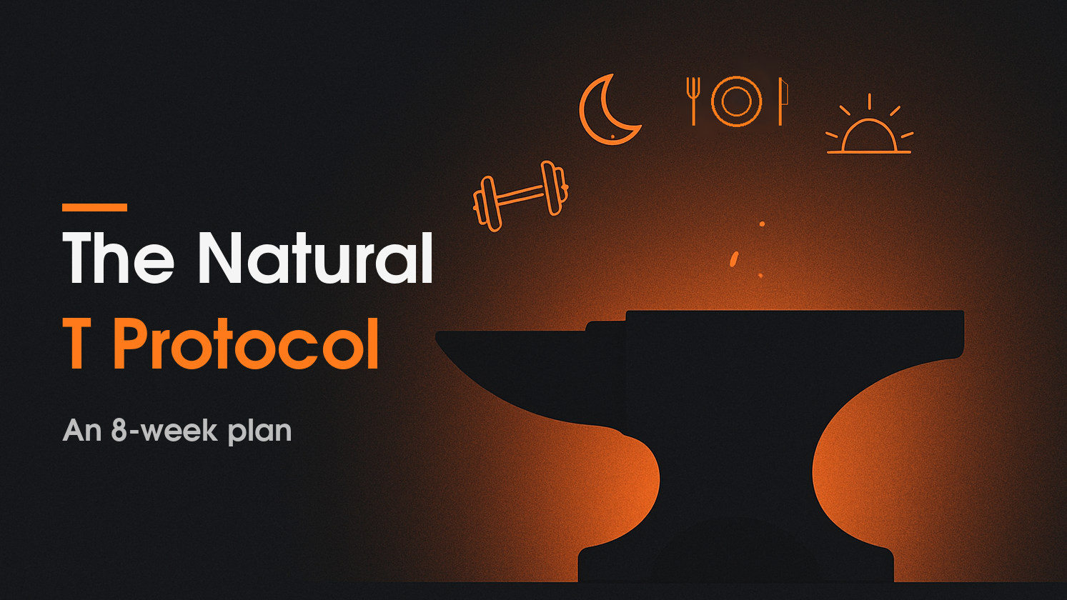The Natural T Protocol: 8-Week Plan