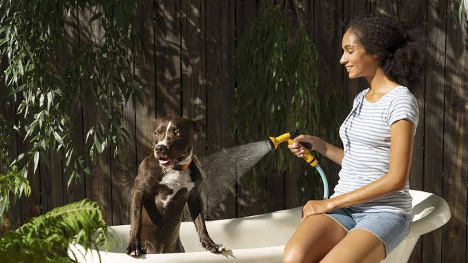 Pet Care Essentials: Complete Animal Care Guide